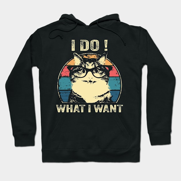 Funny Cat I DO WHAT I WANT Cat Lovers Vintage Hoodie by PunnyPoyoShop